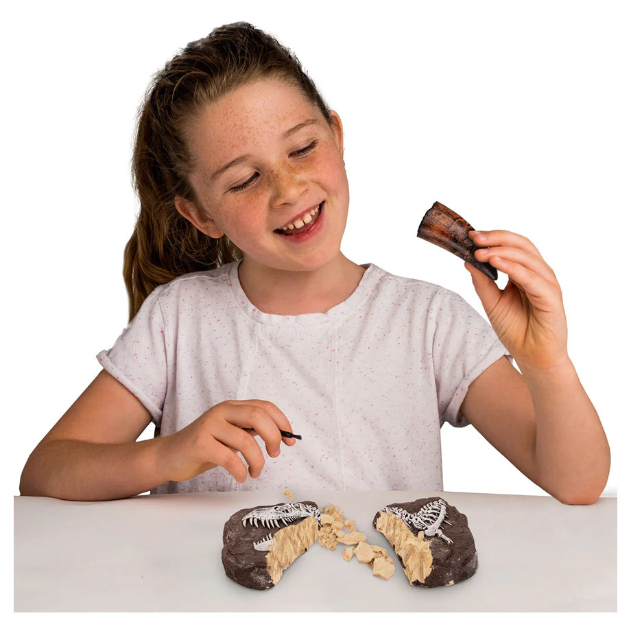 National Geographic Dino Fossil Dig Kit