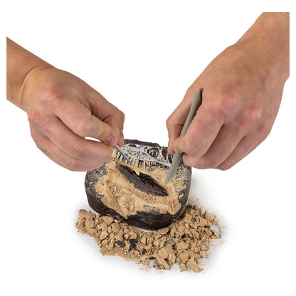 National Geographic Dino Fossil Dig Kit