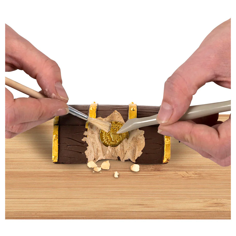 NG Gold Doubloon Dig Kit
