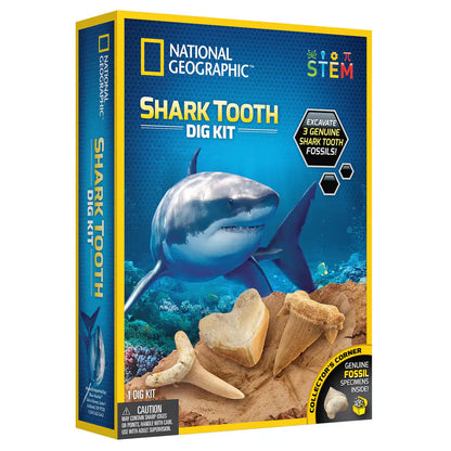 National Geographic Shark Tooth Dig Kit
