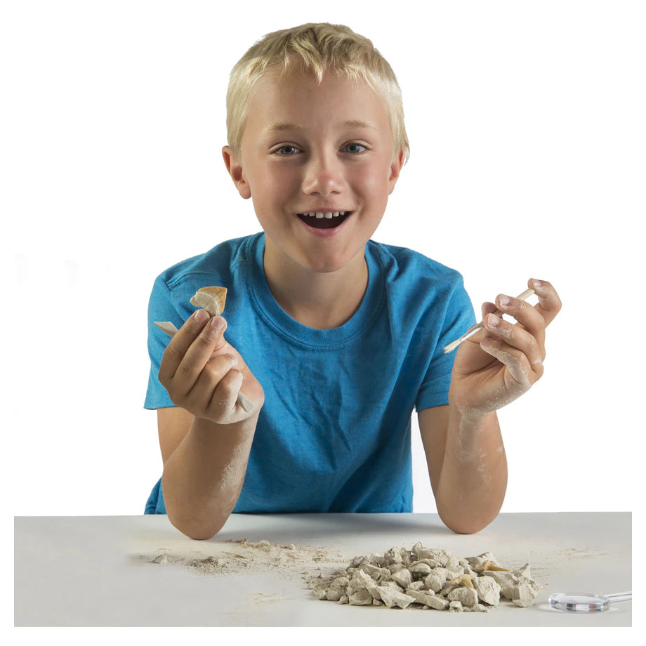 National Geographic Shark Tooth Dig Kit