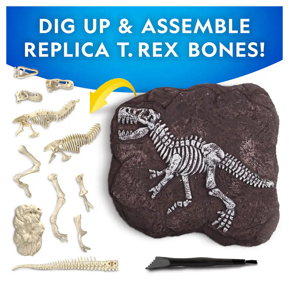 National Geographic Tyrannosaurus Rex Dig Kit
