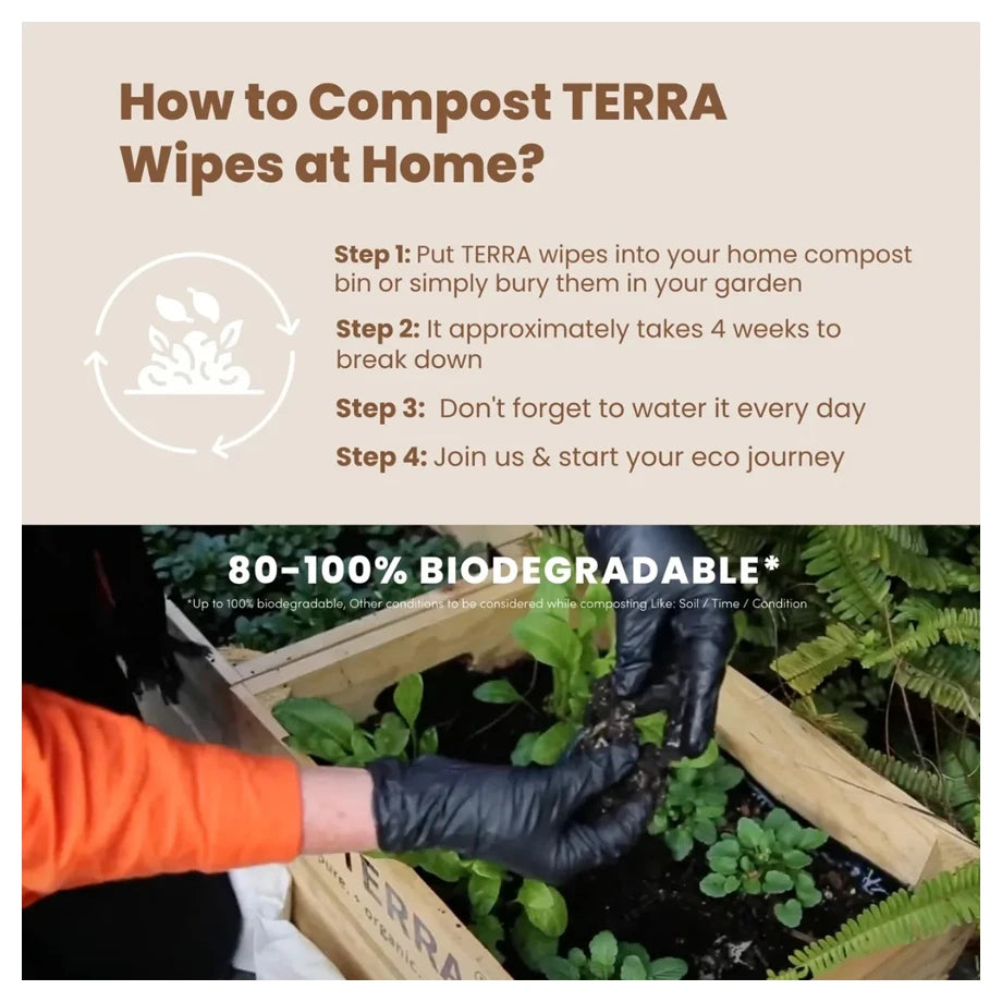 Terra Baby Wipes 10s (Kiwifruit)