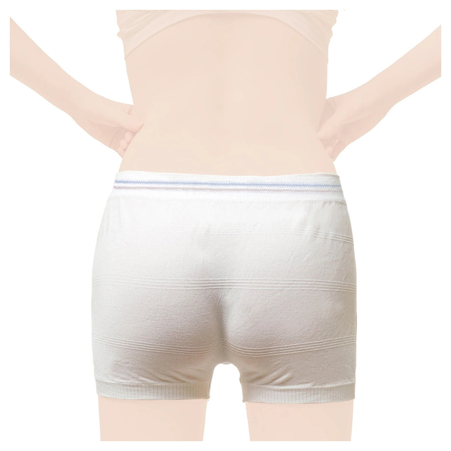 Sunveno Postpartum Mesh Underwear (5 Pieces)