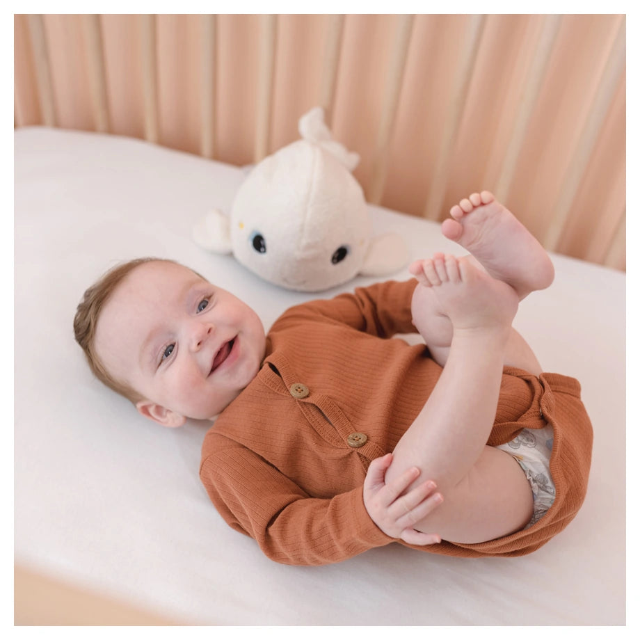 Pabobo Beluga Nightlight (White)