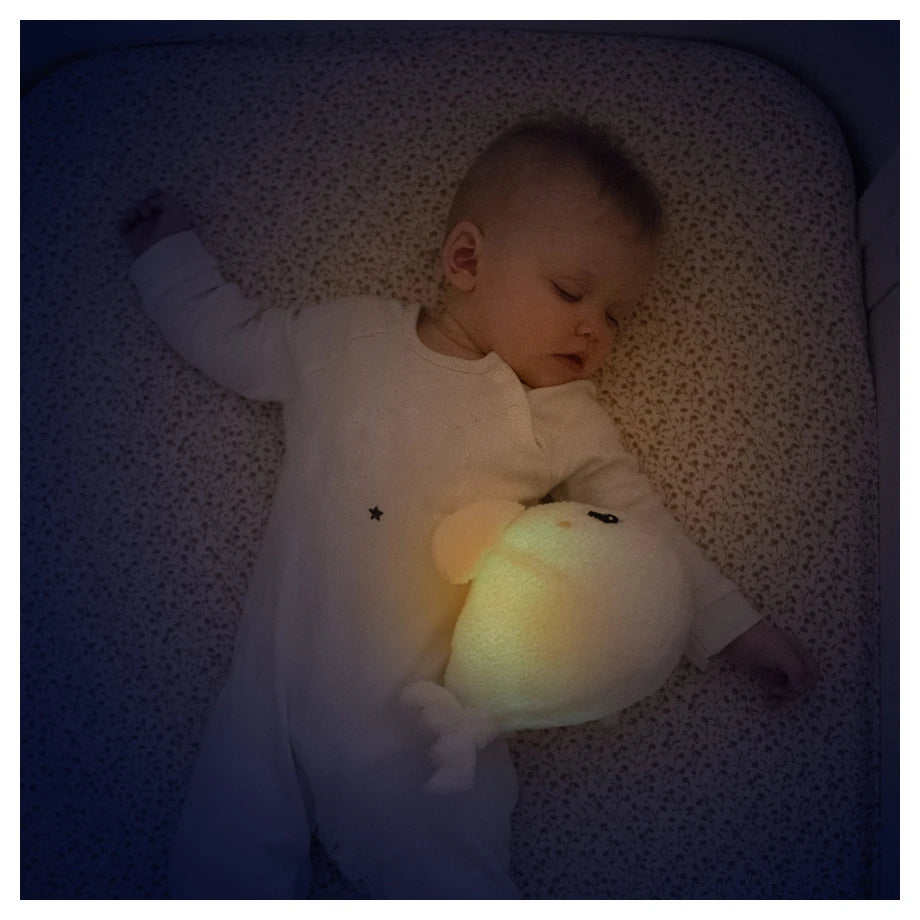 Pabobo Beluga Nightlight (White)