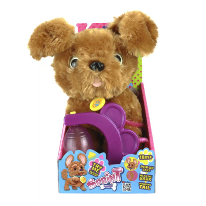 Eolo-Sprint Golden Doodle
