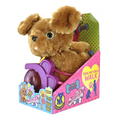 Eolo-Sprint Golden Doodle