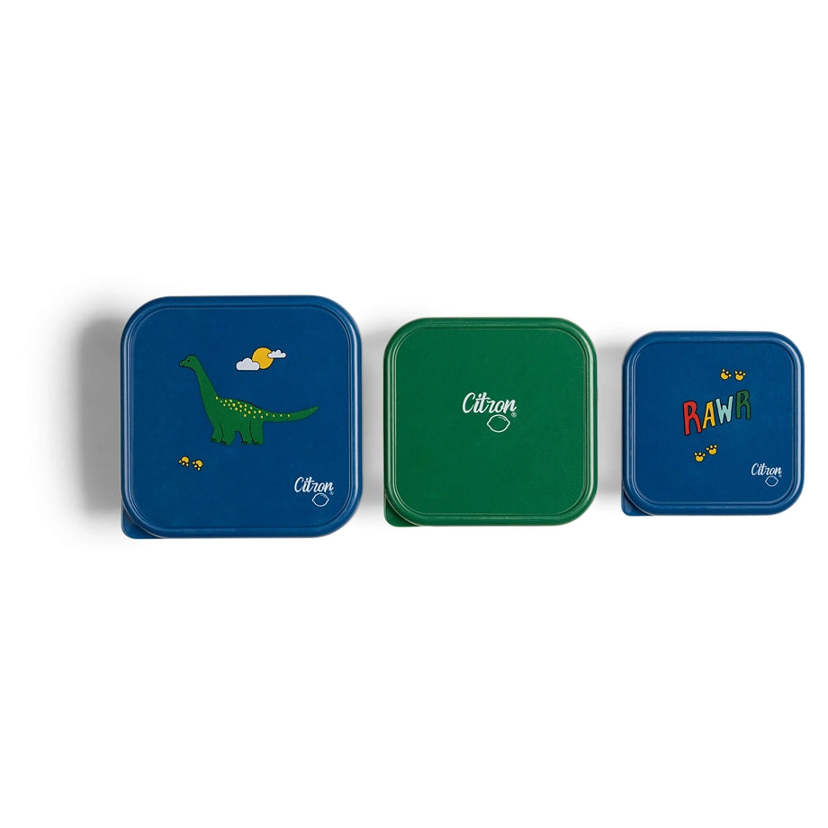 Citron Stainless Steel Stackable Lunchbox (Blue Dino)