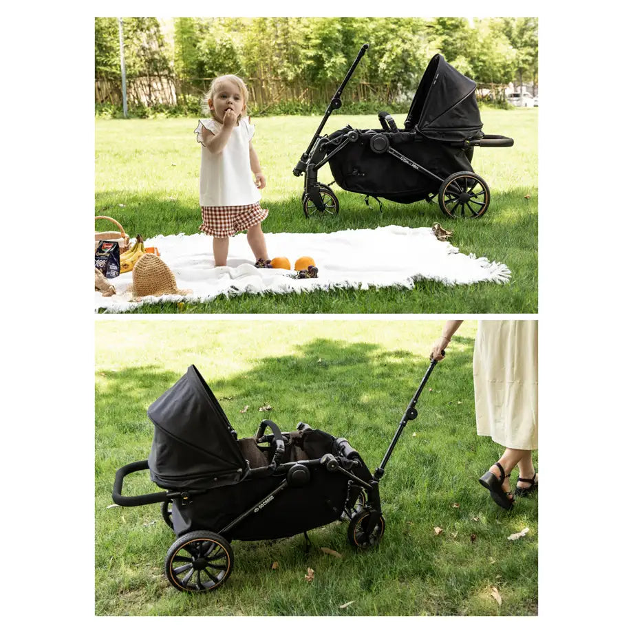 Qplay Go Cargo 2 In 1 Wagon & Stroller (Black)