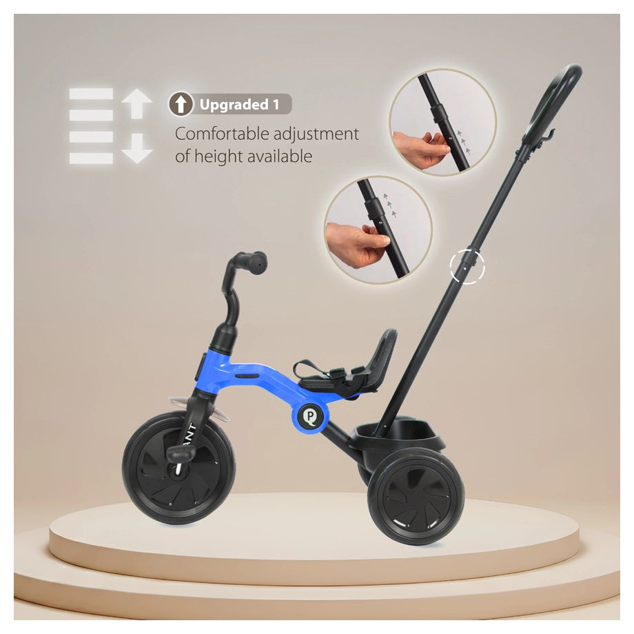 Qplay Ant Plus Tricycle (Blue)