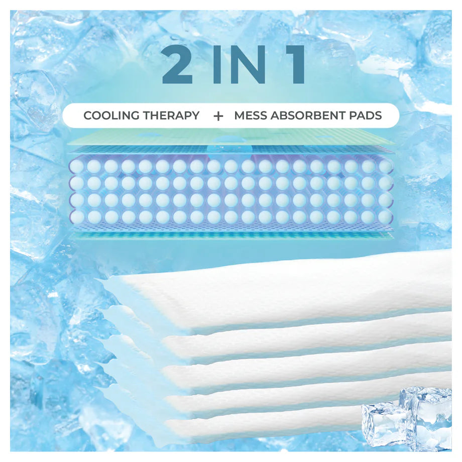 Nurtur Instant Cold Therapy Packs & Absorbent Maternity Pad – 2-in-1