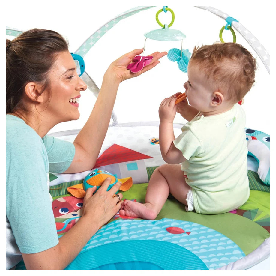 Tiny Love Meadow Days Gymini