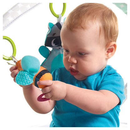 Tiny Love Meadow Days Gymini