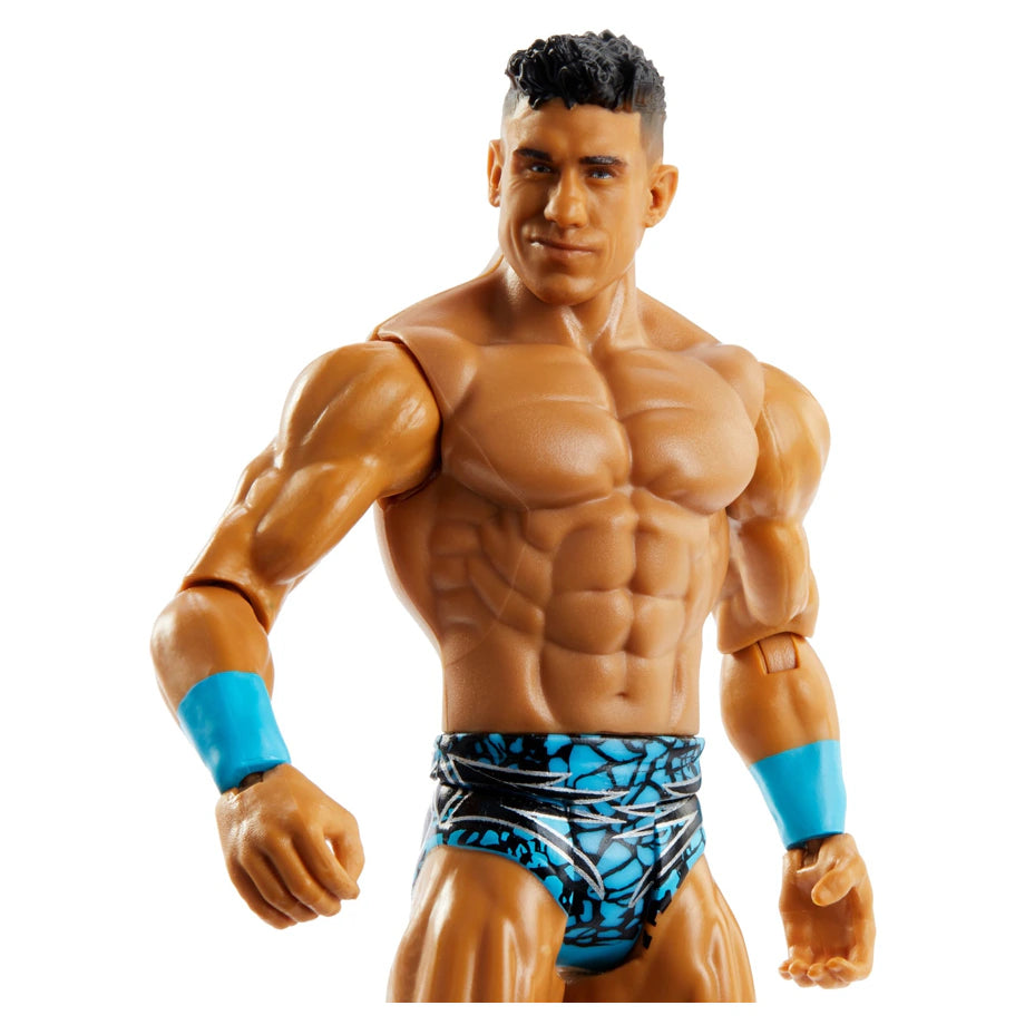 Wwe Basic Action Figure (Styles May Vary)