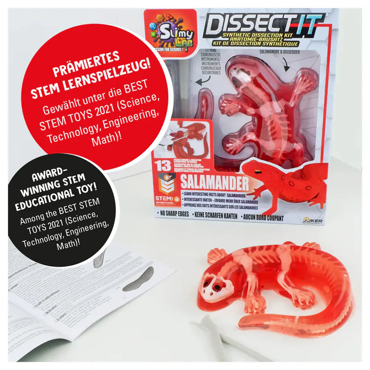 Slimy Lab Dissect It Synthetic Salamander Dissection Kit