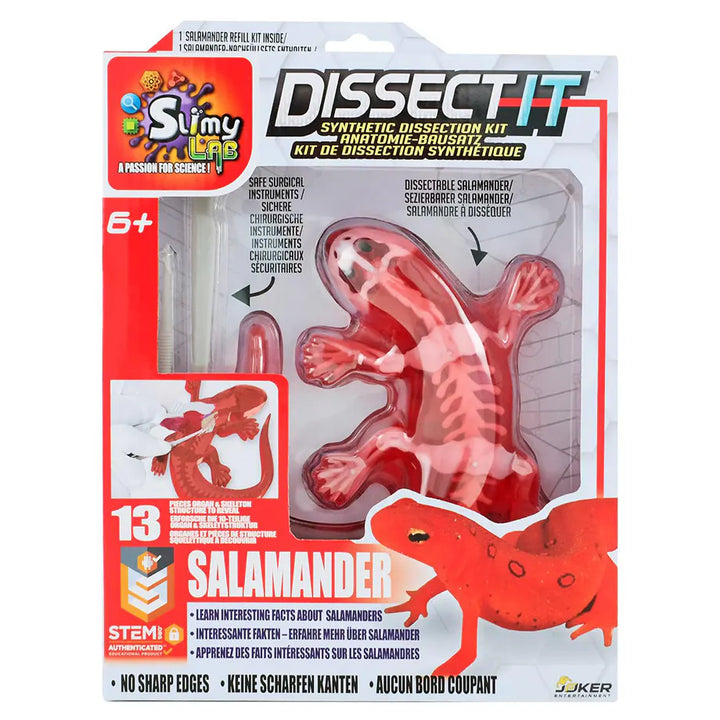 Slimy Lab Dissect It Synthetic Salamander Dissection Kit