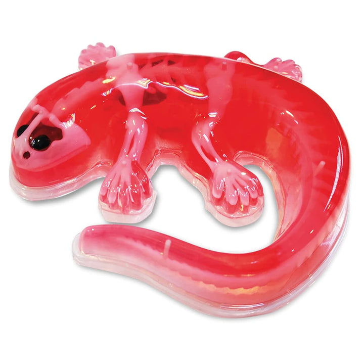 Slimy Lab Dissect It Synthetic Salamander Dissection Kit