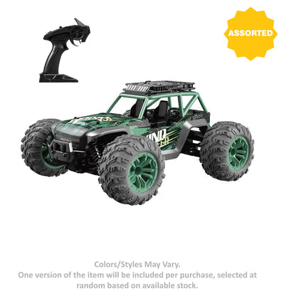 Sam Toys Wind Speed RC Car (1:14, Assorted)