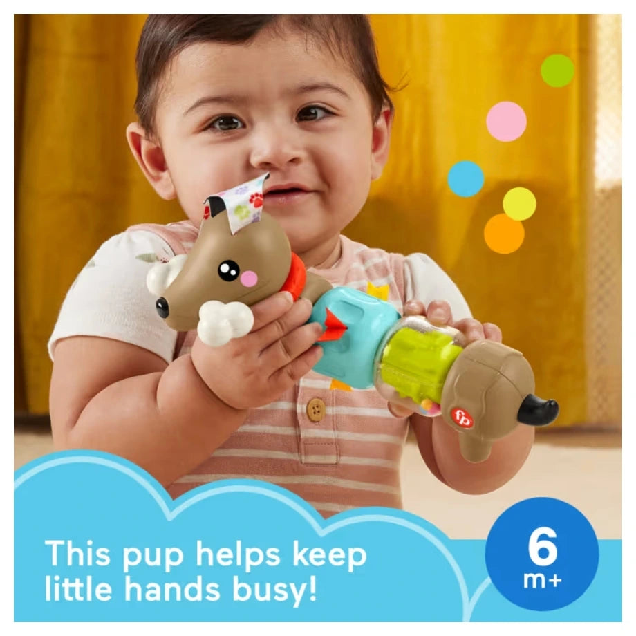Mattel Fisher-Price FP Pets Click & Spin Activity Pup Toy for Babies