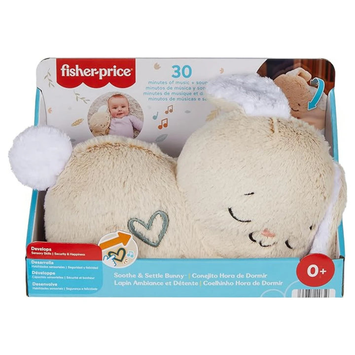 Fisher-Price Soothe & Settle Bunny Plush Baby Toy (26.67 cm)