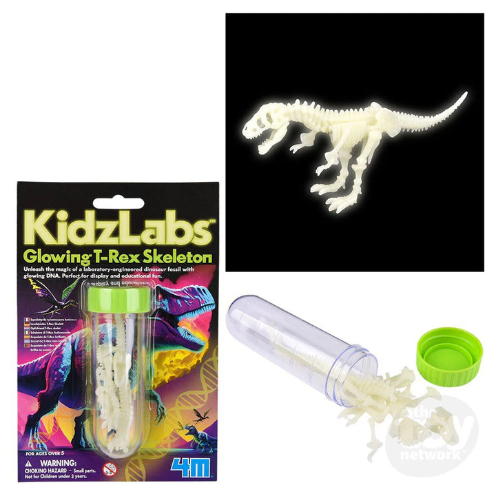4M KidzLabs Glowing T-Rex Skeleton Science Kit