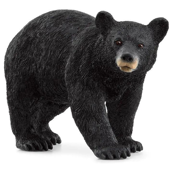 Schleich Wild Life American Black Bear Figure
