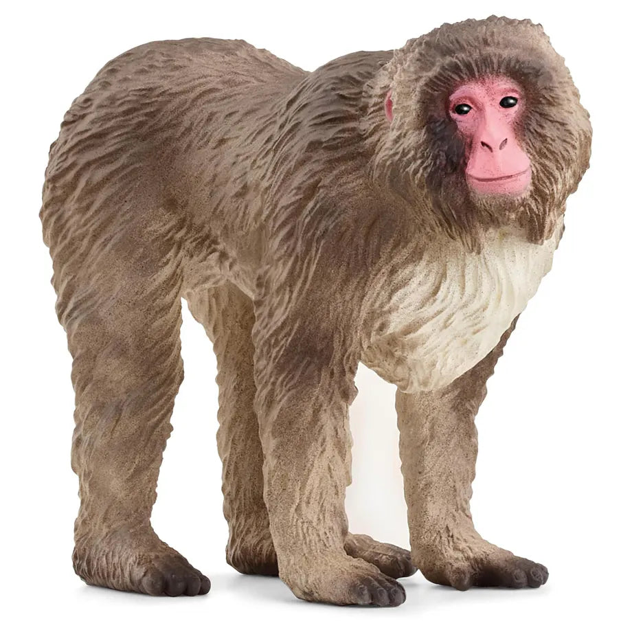 Schleich Wild Life Japanese Macaque Figure
