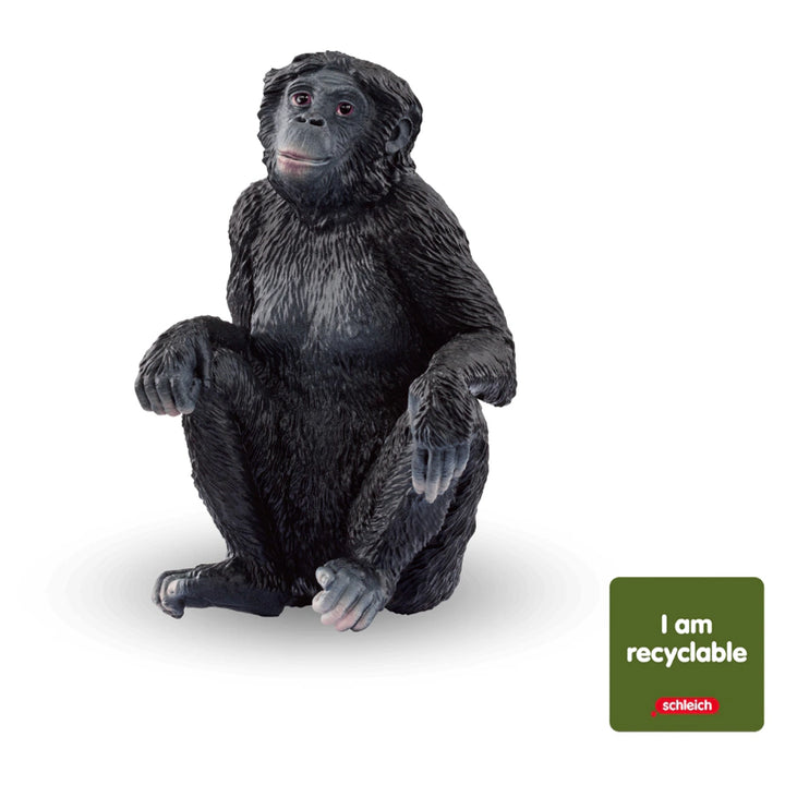 Schleich Wild Life Bonobo Female (Circular) Figure