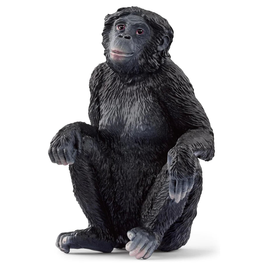 Schleich Wild Life Bonobo Female (Circular) Figure