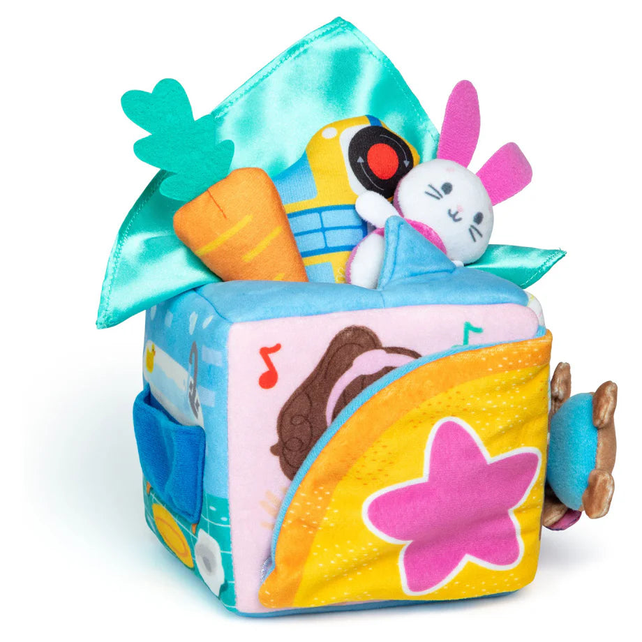 Ms. Rachel Surprise Learning Box
