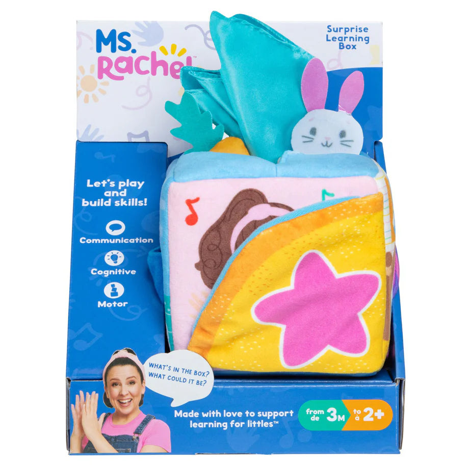 Ms. Rachel Surprise Learning Box