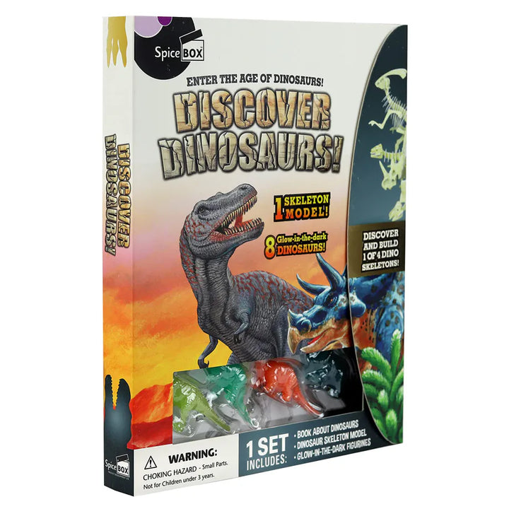 SpiceBOX Discover Dinosaurs Activity Kit (Assorted)