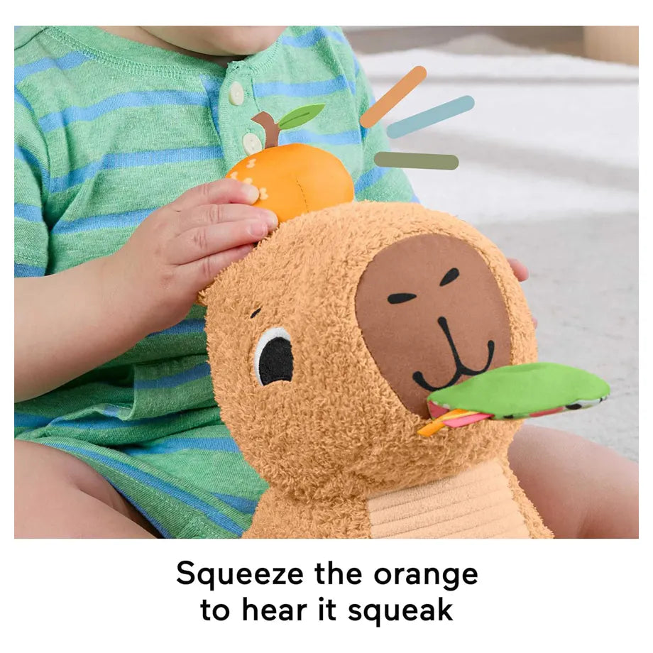 Fisher-Price Snuggly Snacky Capybara Plush Teether & Rattle