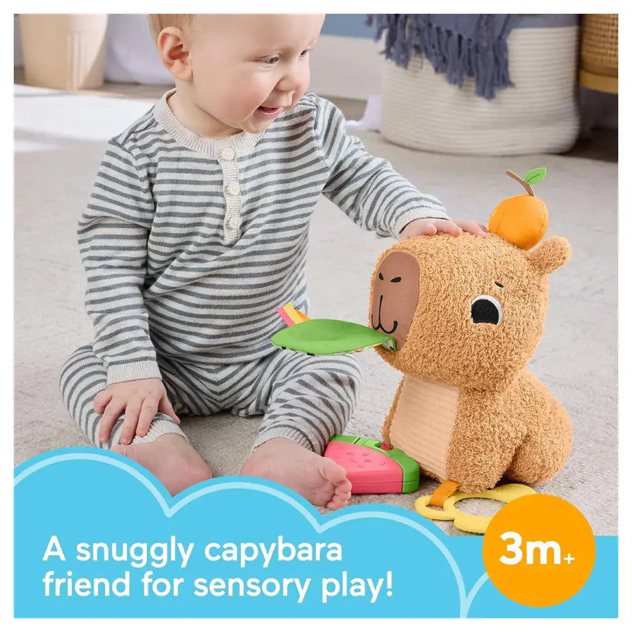 Fisher-Price Snuggly Snacky Capybara Plush Teether & Rattle
