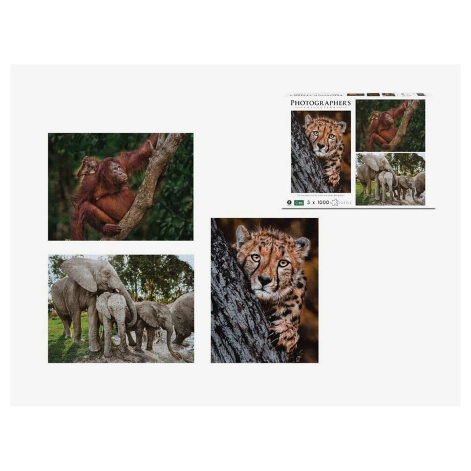 Ambassador Photographer's Collection Donald Boyd Tri-Pack Jigsaw Puzzle Pack of 3 (1000+ Pieces)