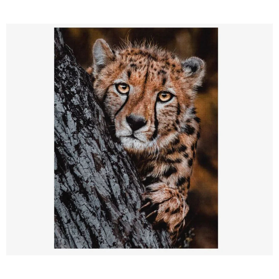 Ambassador Photographer's Collection Donald Boyd Tri-Pack Jigsaw Puzzle Pack of 3 (1000+ Pieces)