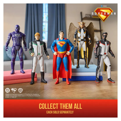 DC Superman Legacy Action Figure (30.5 cm, Assorted)