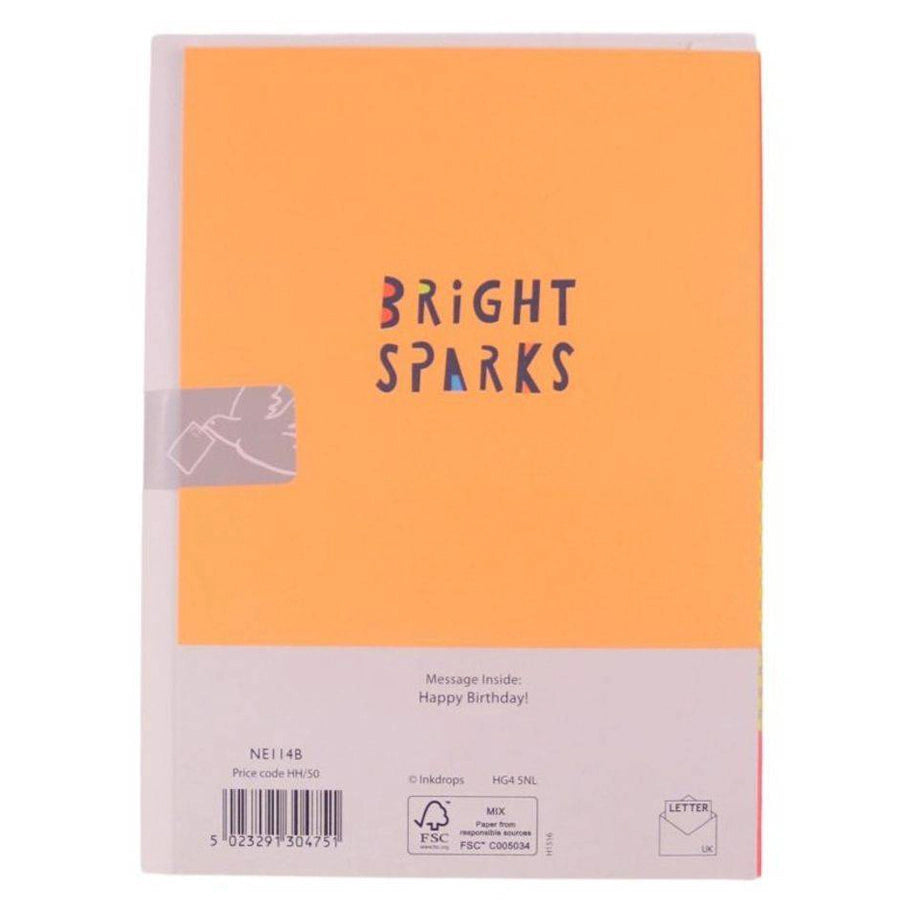 Pigment Bright Sparks 3 Today Lion Birthday Greeting Card (13 x 17.6 cm)