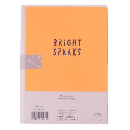 Pigment Bright Sparks 3 Today Lion Birthday Greeting Card (13 x 17.6 cm)