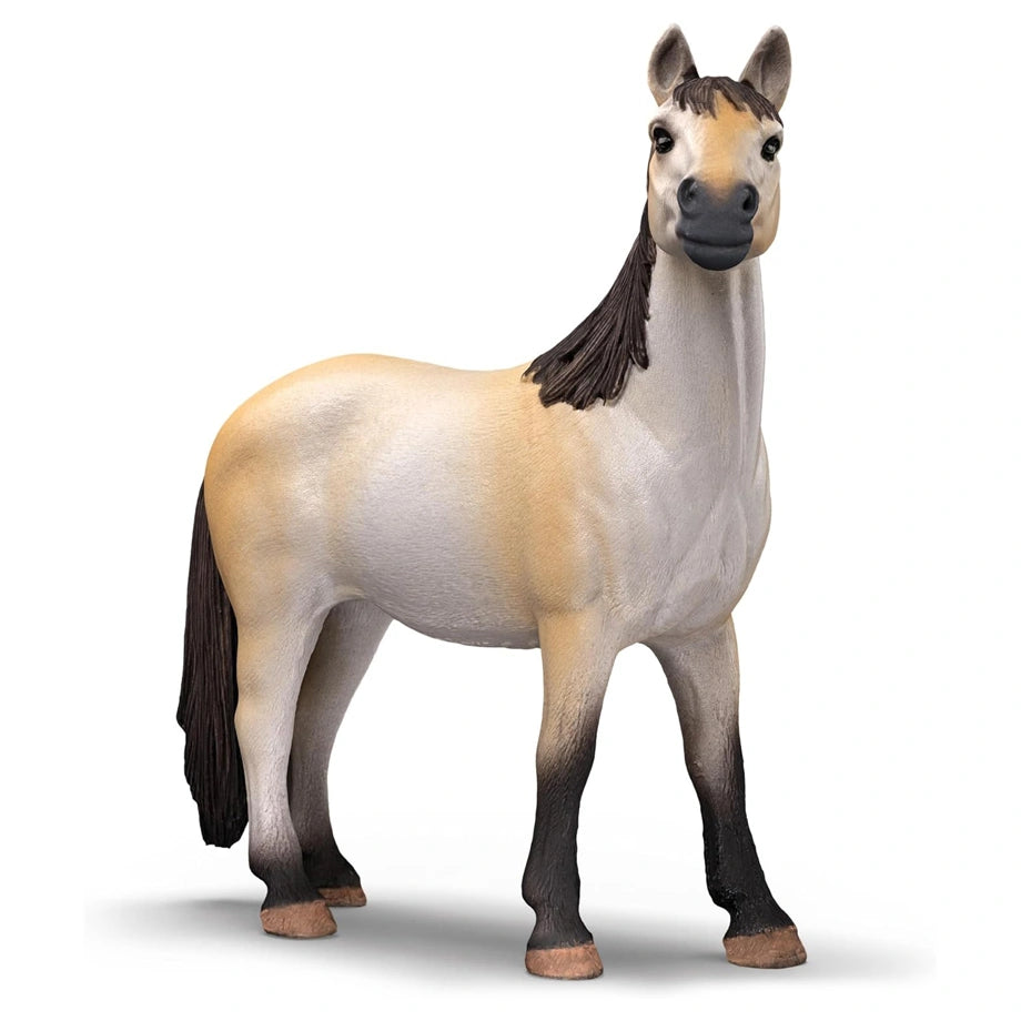 Schleich Farm World Pony Box Mustang Mare Playset (24.51 x 8 x 19 cm, 19 Pieces)