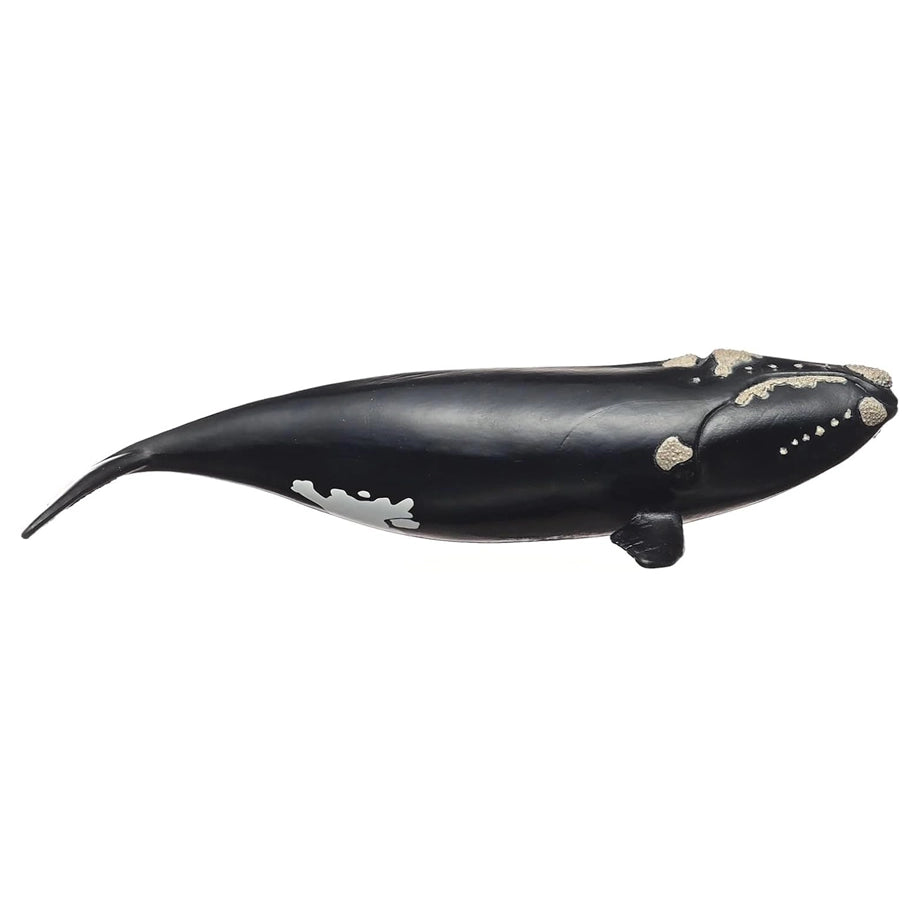 Schleich Wild Life North Atlantic Right Whale Figure (19.51 x 9.71 x 4.5 cm)