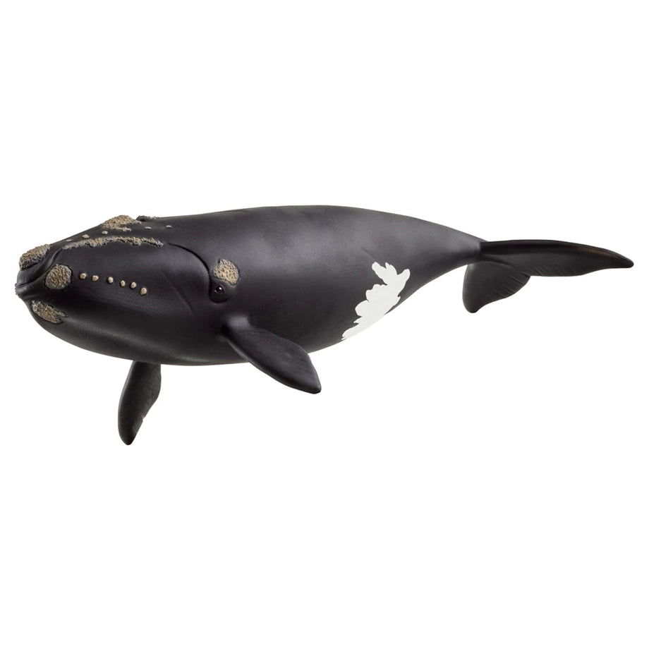Schleich Wild Life North Atlantic Right Whale Figure (19.51 x 9.71 x 4.5 cm)