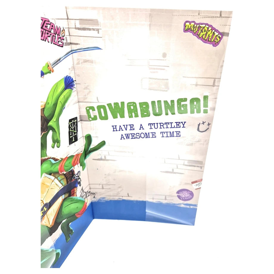 Danilo Teenage Mutant Ninja Turtles Birthday Greeting Card (12.8 x 17.8 cm)