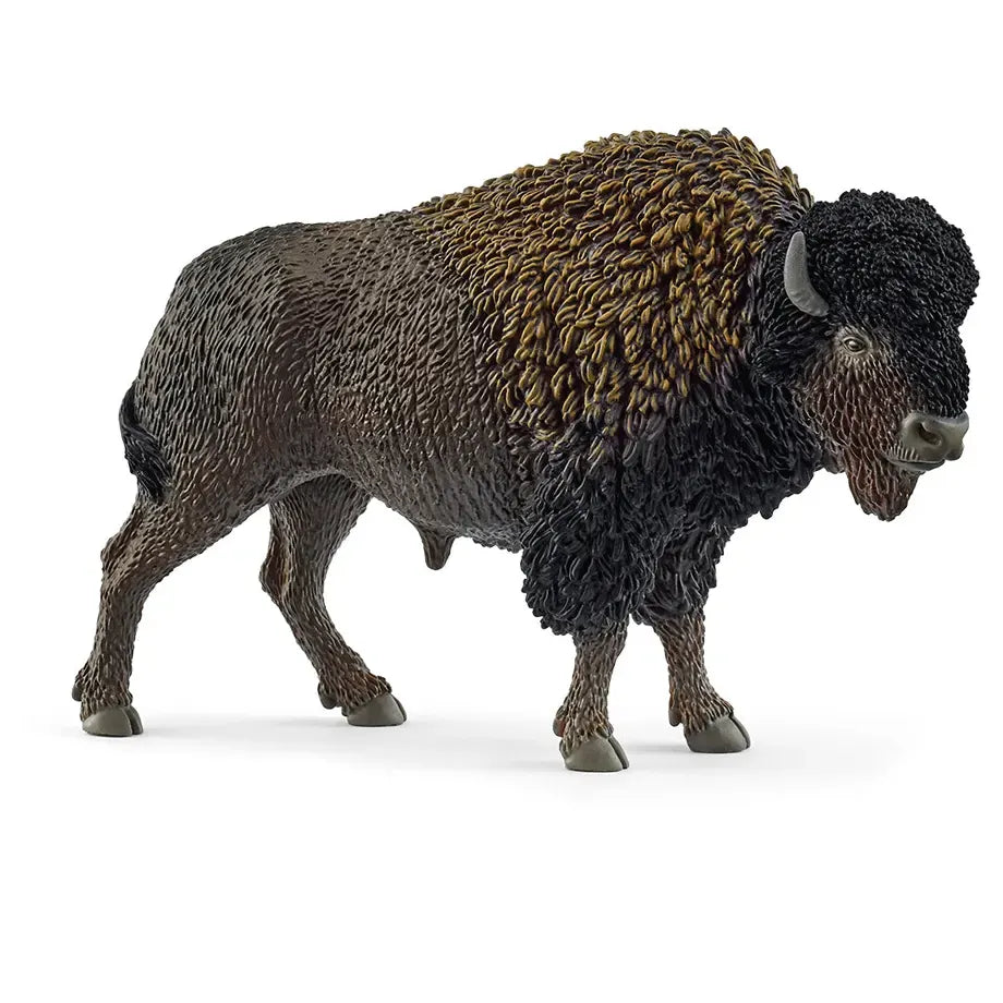 Schleich Wild Life Bison Figure (13.51 x 5 x 8.51 cm, Black/Brown)
