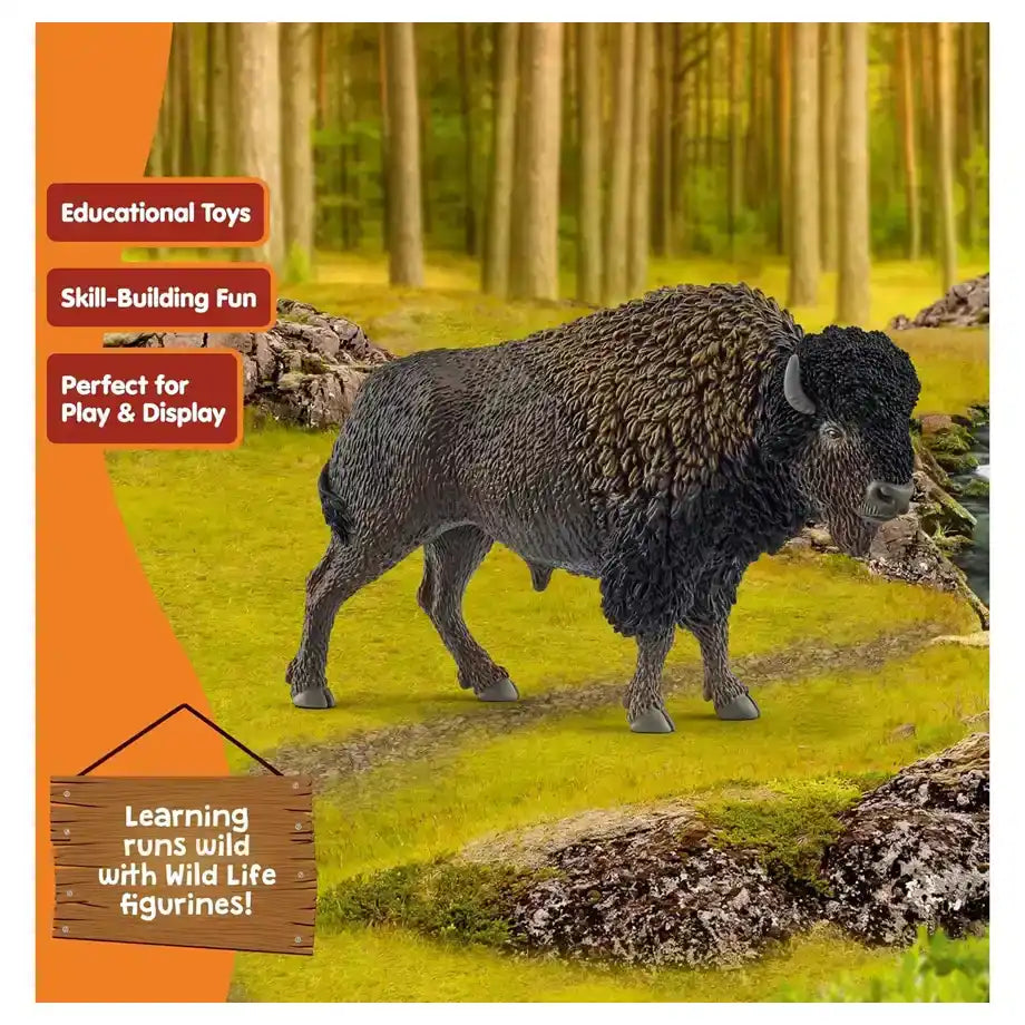 Schleich Wild Life Bison Figure (13.51 x 5 x 8.51 cm, Black/Brown)