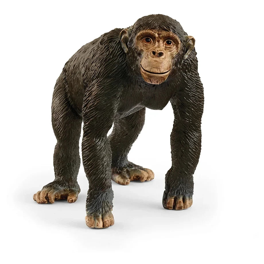 Schleich Wild Life Chimpanzee Figure (7.70 x 4.14 x 6.10 cm, Black)