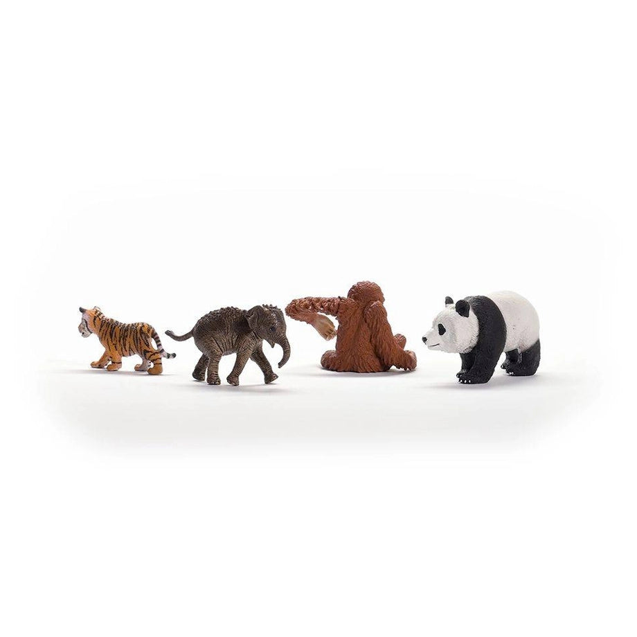 Schleich Wild Life Asia Starter Playset (4 Pieces)
