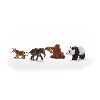 Schleich Wild Life Asia Starter Playset (4 Pieces)