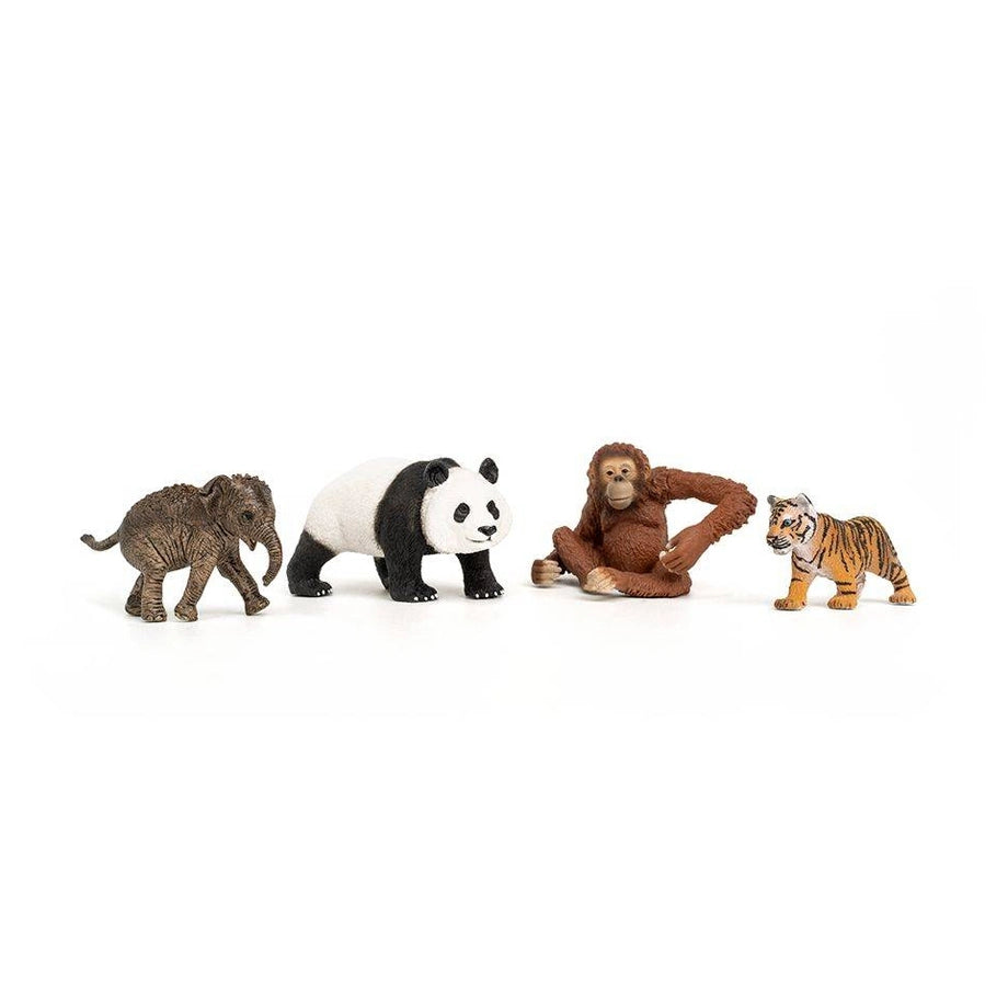 Schleich Wild Life Asia Starter Playset (4 Pieces)